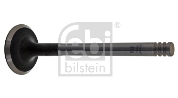 Intake Valve